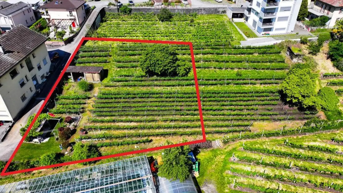 Terrain constructible à vendre - 6598 Tenero