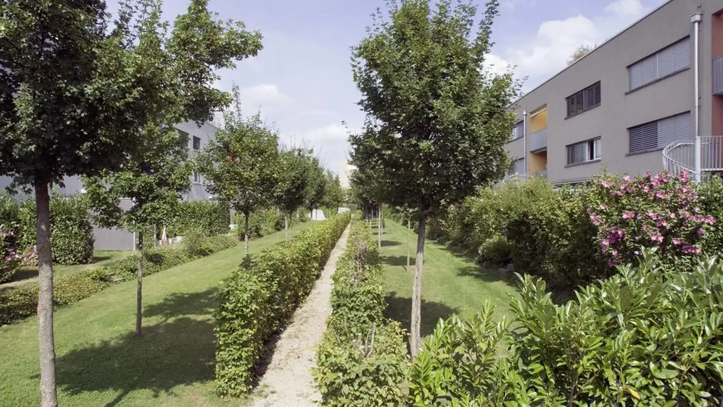 Wohnung mieten - Rösslimattweg 163, 5033 Buchs AG