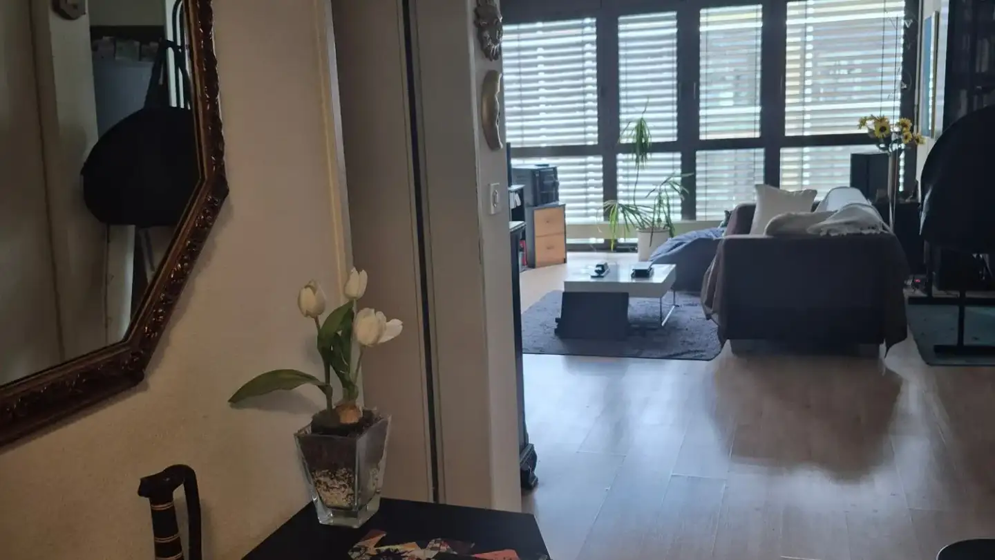Apartment for rent - Werdstrasse 4, 8004 Zürich