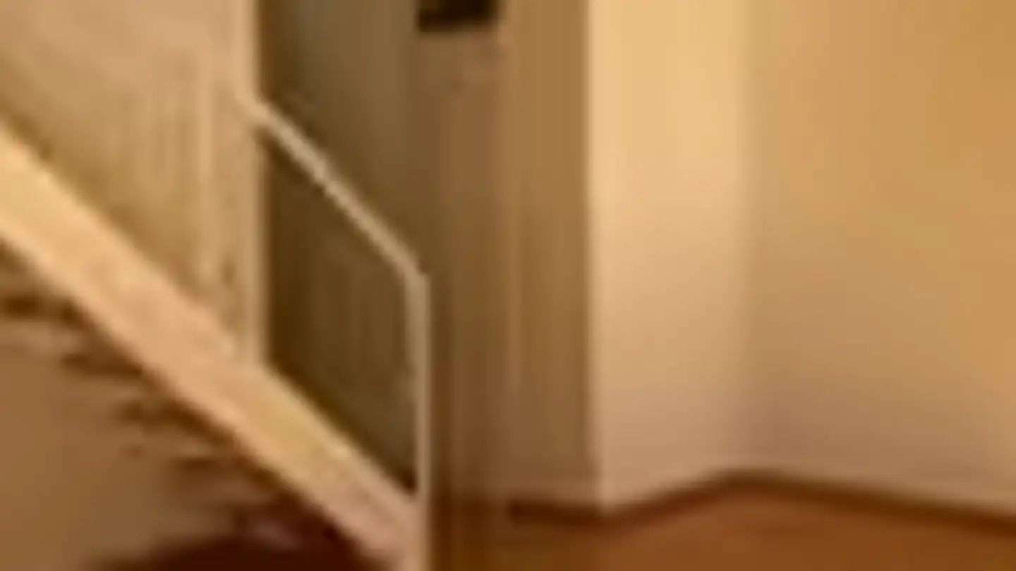 Maisonette mieten - Römerstrasse 21B, 5212 Hausen AG - Foto 3