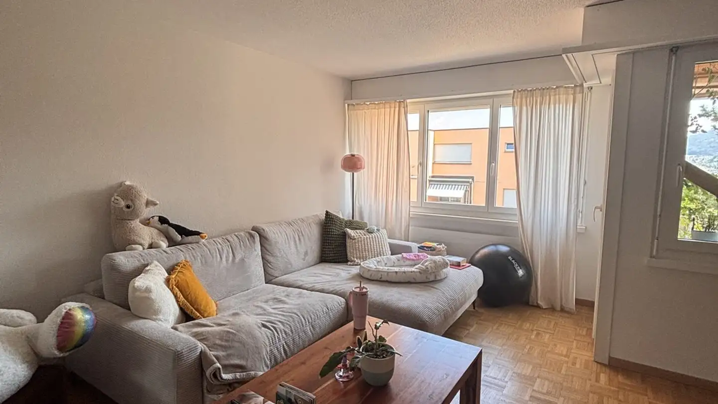 Möblierte Wohnung mieten - 8805 Richterswil