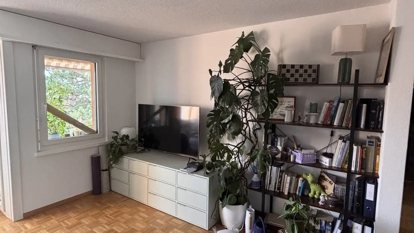 Möblierte Wohnung mieten - 8805 Richterswil - Foto 3
