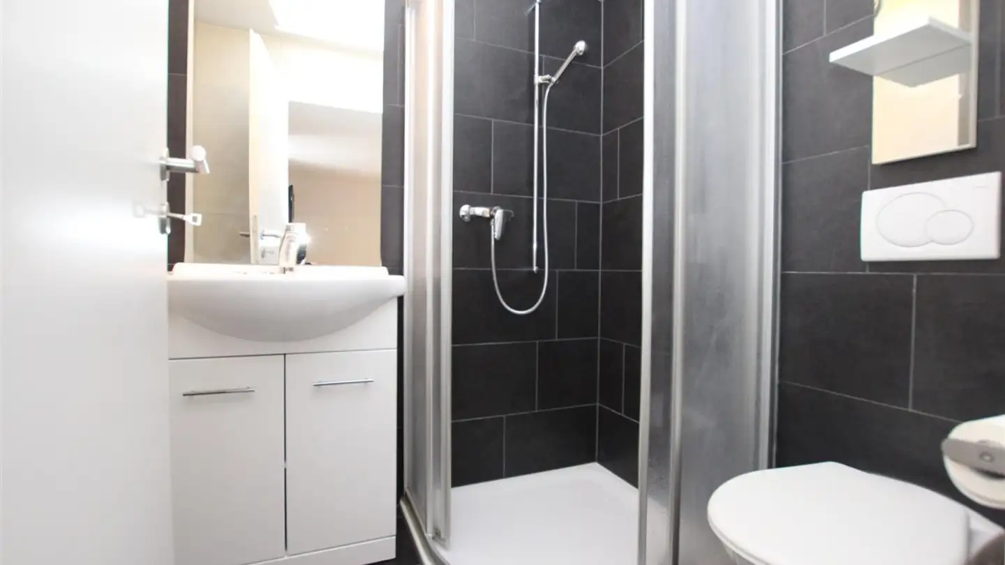 Furnished apartment for rent - Rue De Montbrillant 21, 1201 Genève - Photo 4