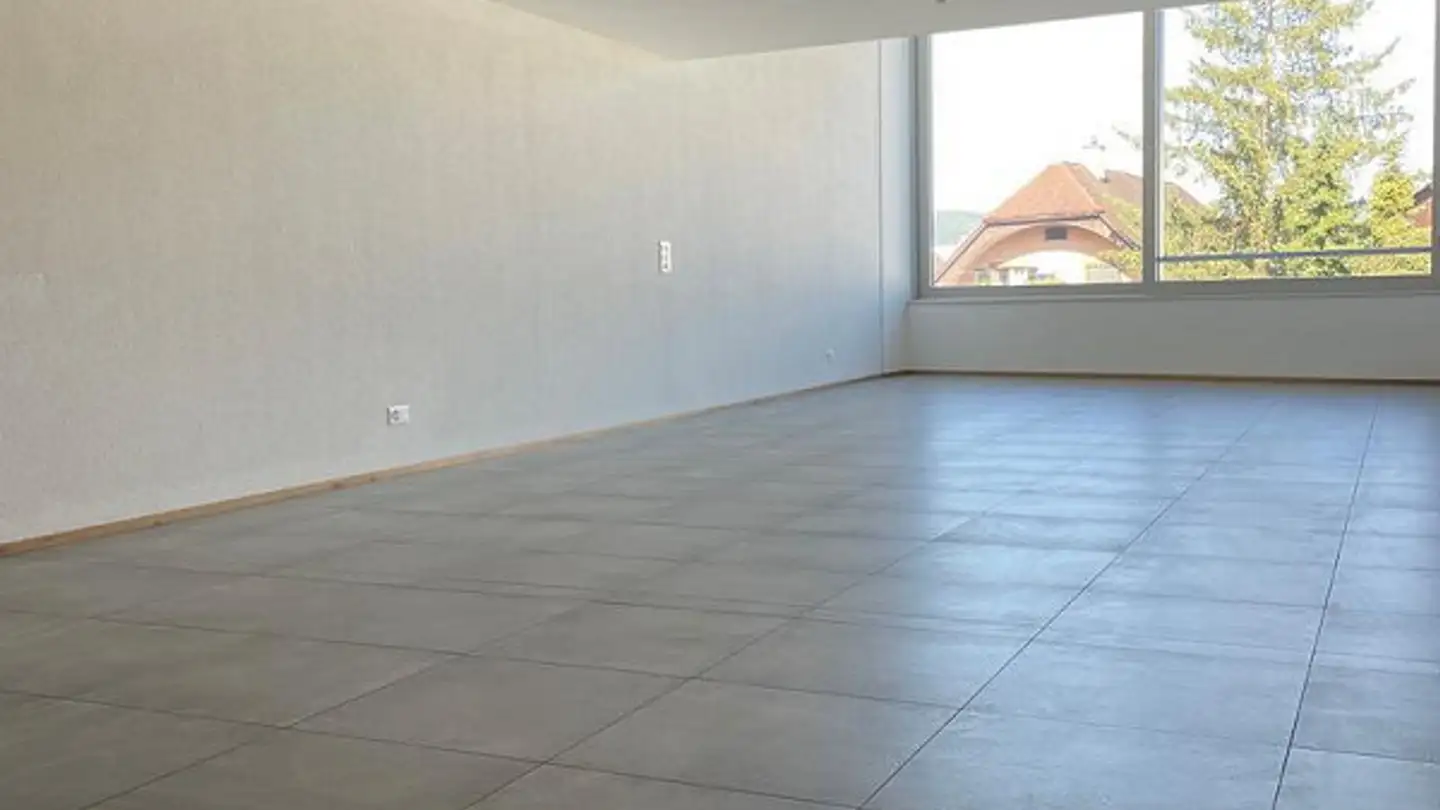 Duplex à louer - Neumattstrasse 1, 4226 Breitenbach - Photo 4