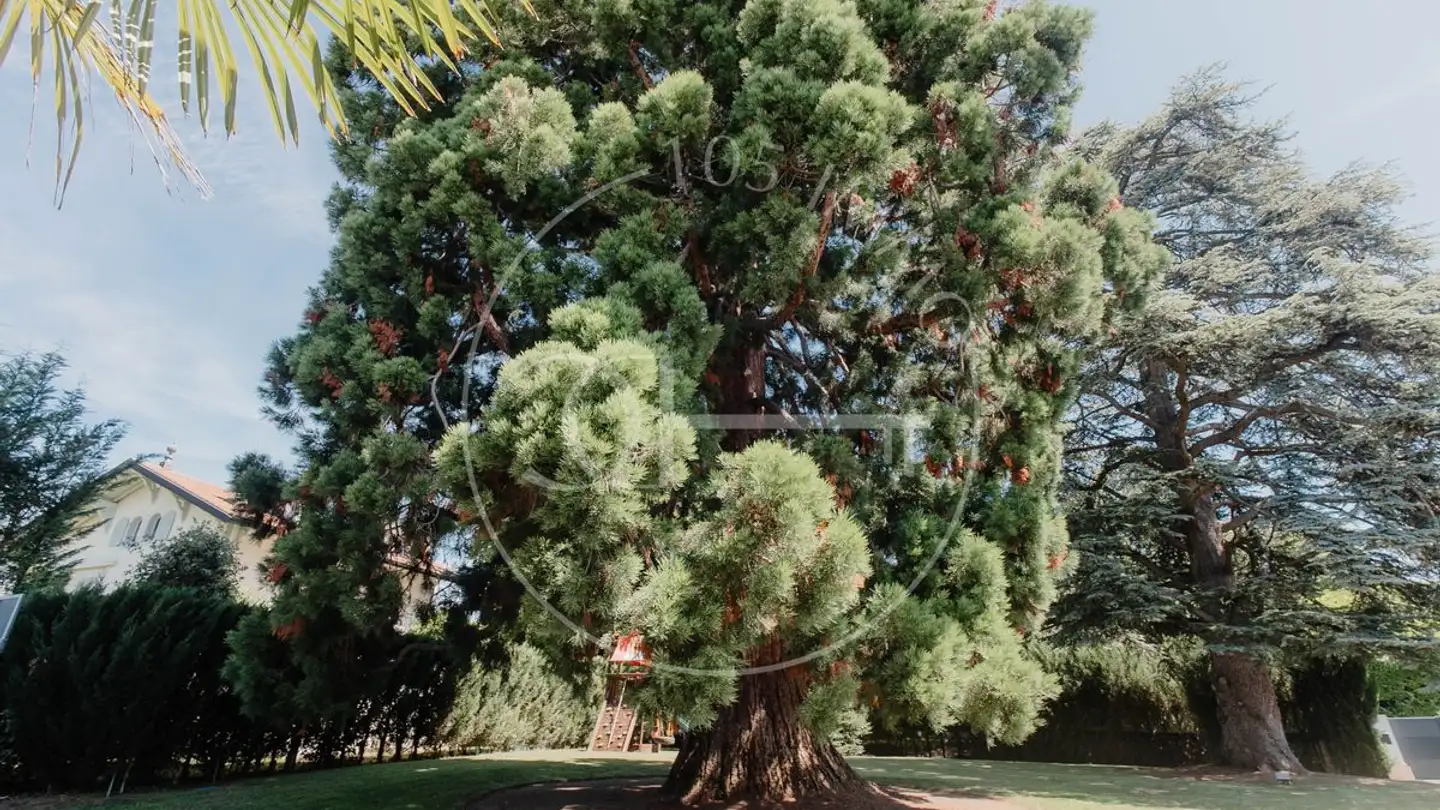 Casa singola in vendita - 1224 Chêne-Bougeries - Photo 2