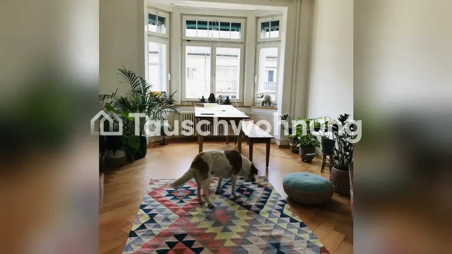 Wohnung mieten - 8008 Zürich