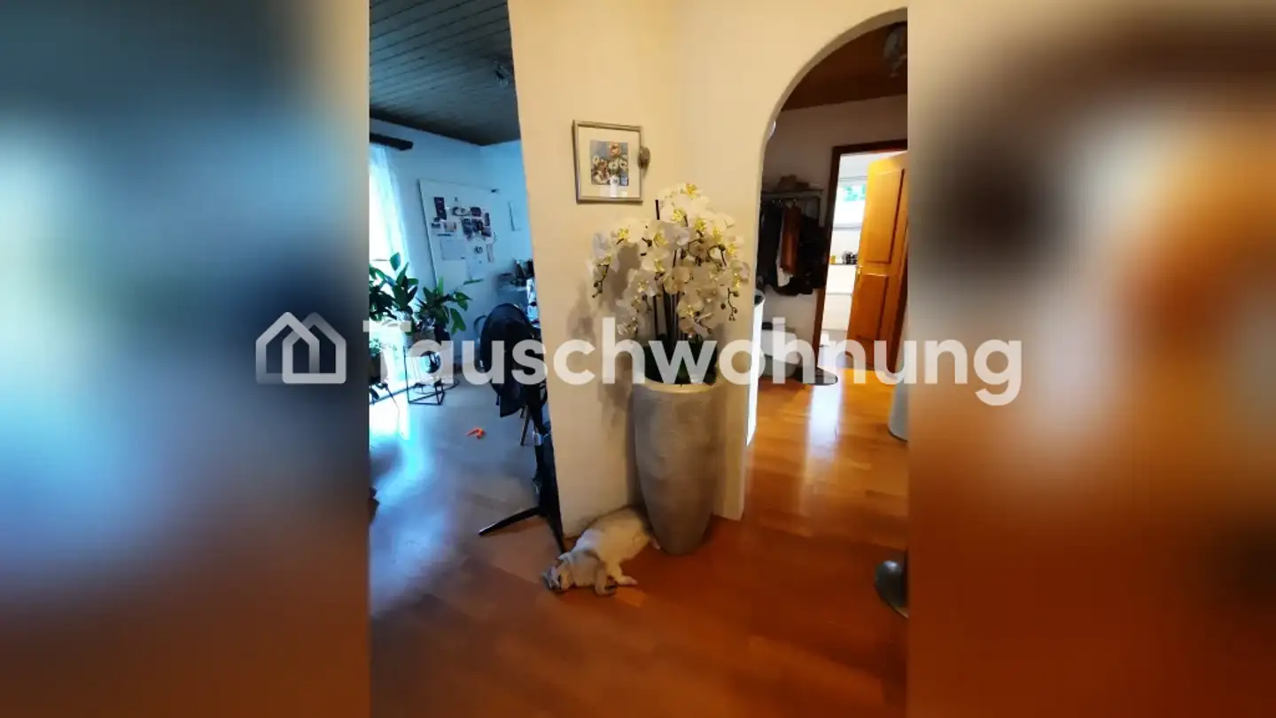 Appartamento in affitto - 8134 Adliswil - Foto 4