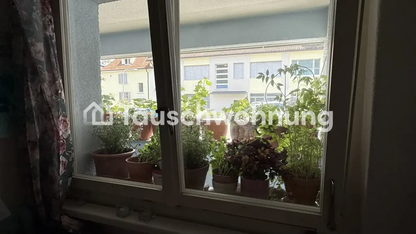 Wohnung mieten - 8051 Zürich - Foto 4