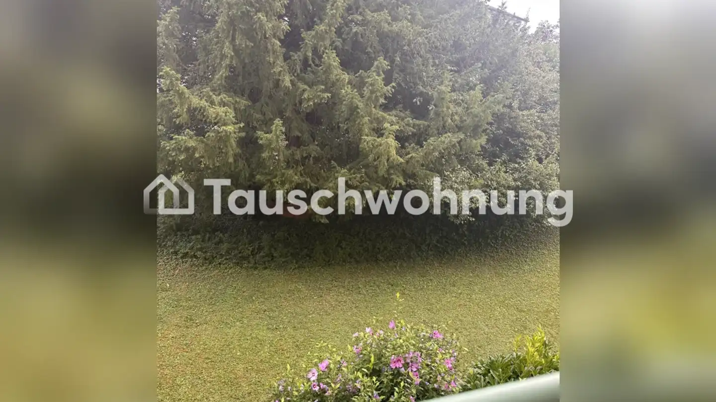 Wohnung mieten - 8047 Zürich - Foto 4
