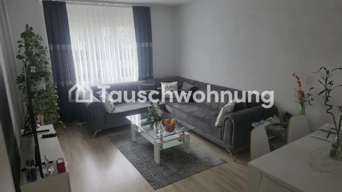 Apartment for rent - 8953 Dietikon