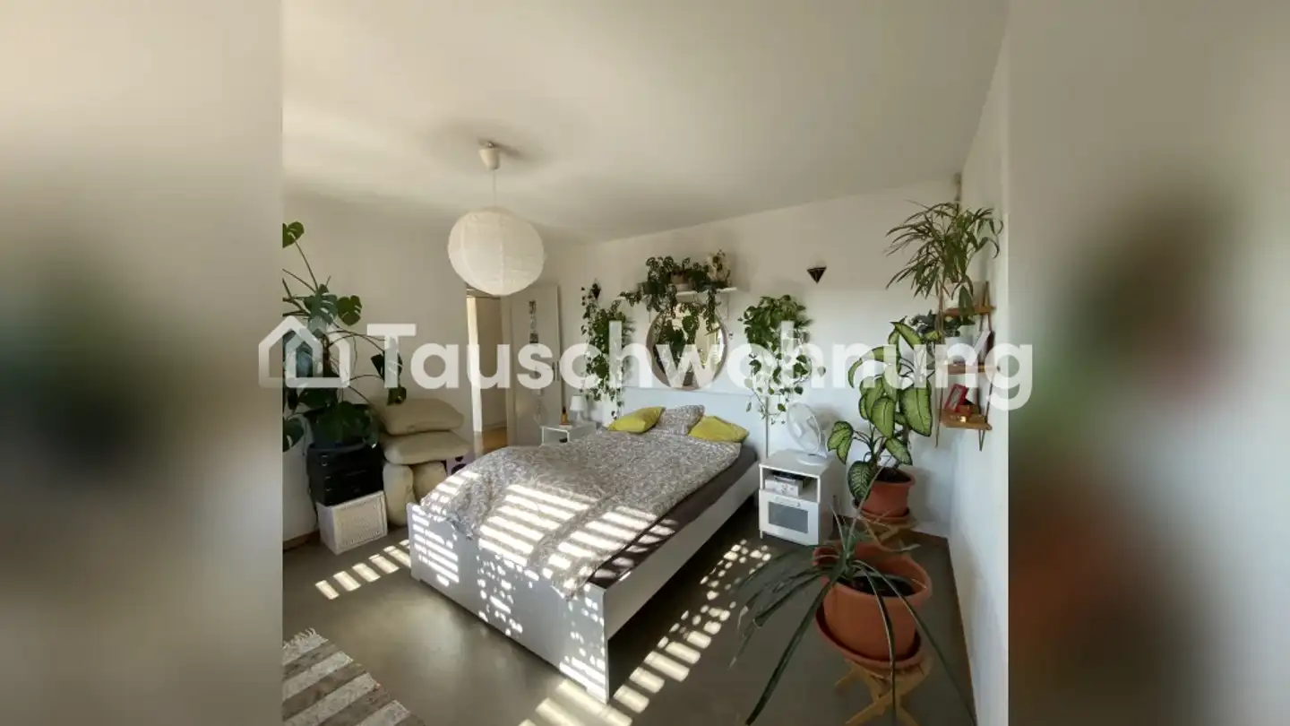 Appartamento in affitto - 8600 Dübendorf