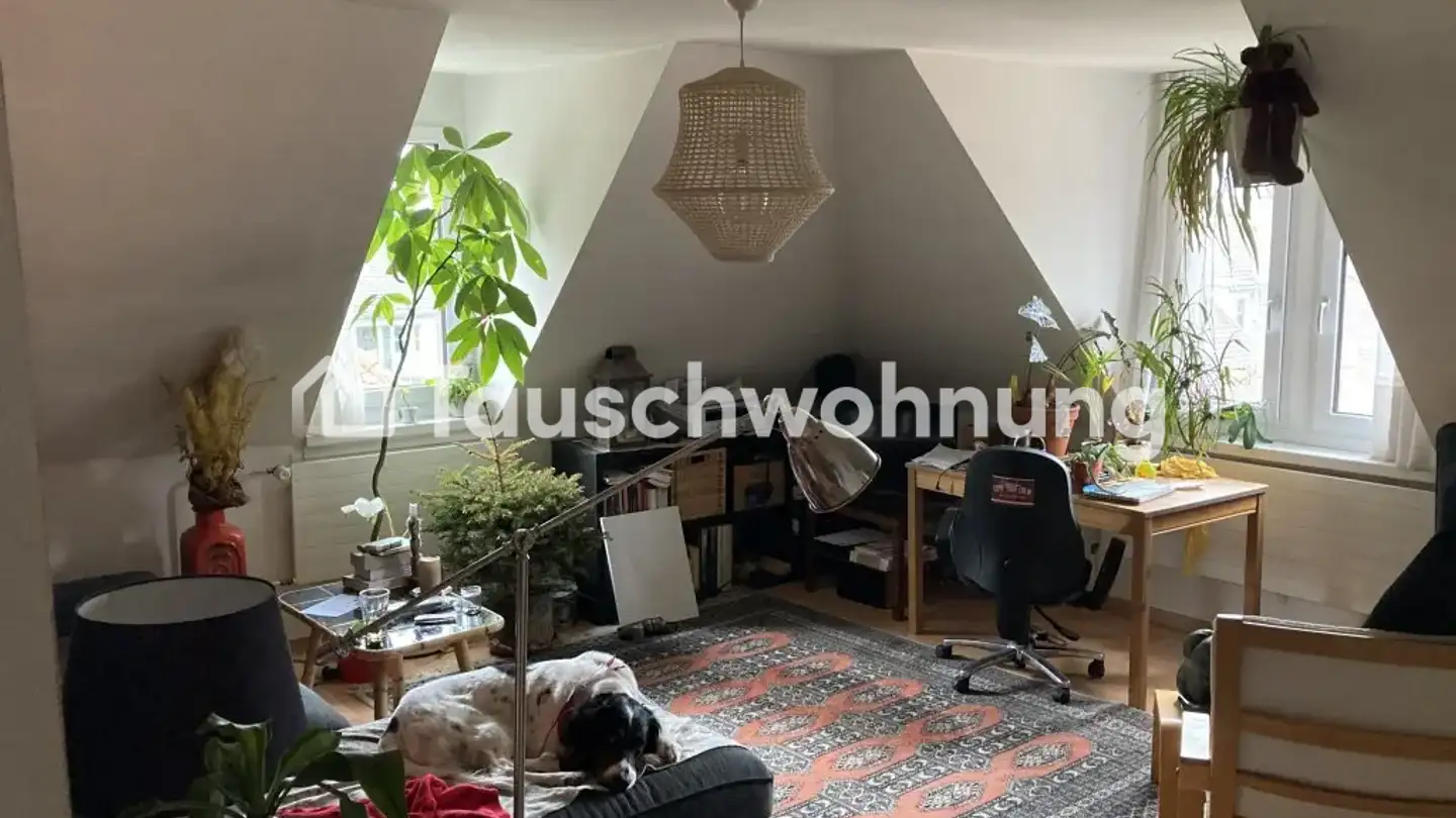 Appartement à louer - Nordstrasse 156, 8037 Zürich