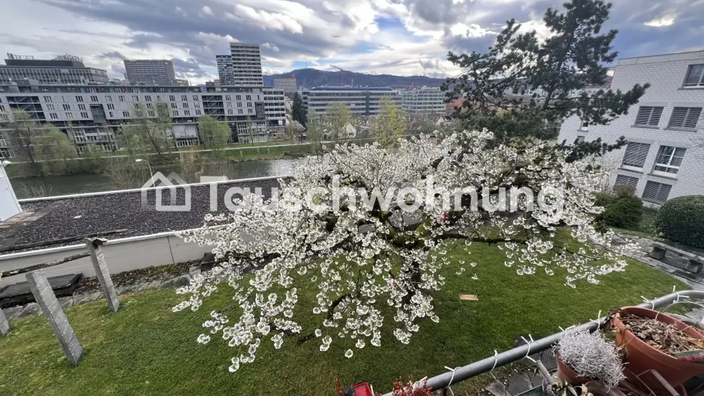 Wohnung mieten - 8049 Zürich