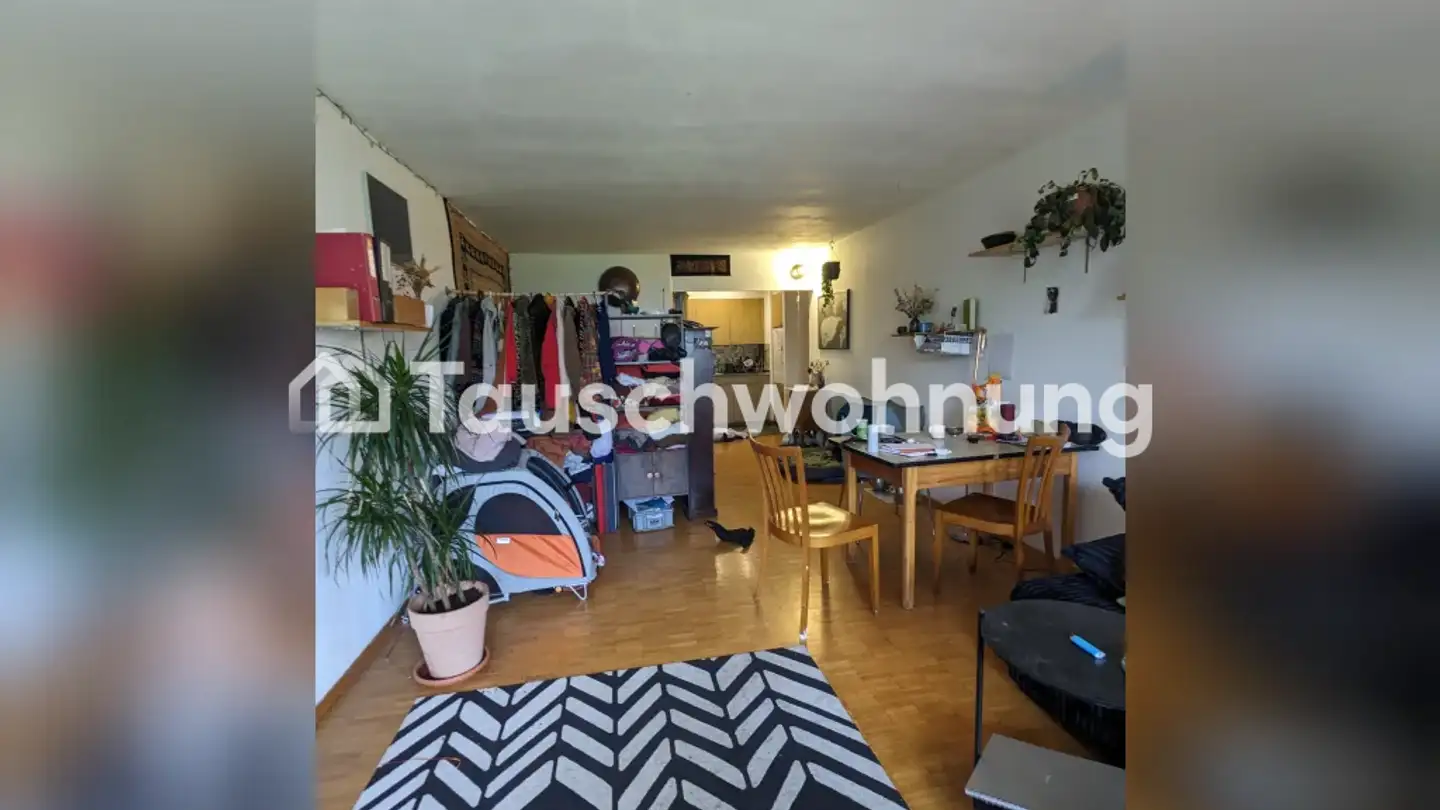 Wohnung mieten - 8048 Zürich - Foto 2