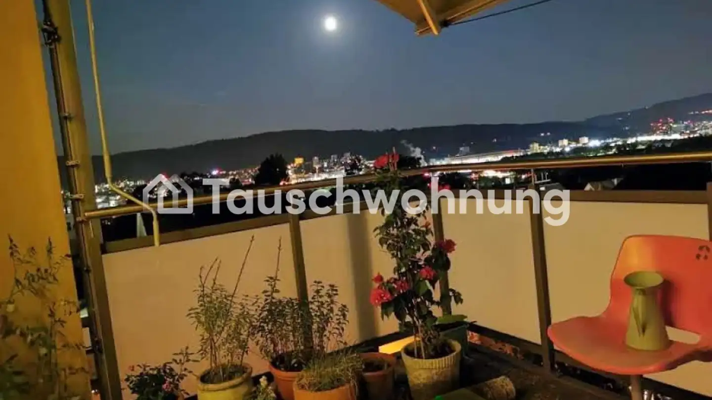 Attic flat for rent - Limmattalstrasse 314, 8049 Zürich