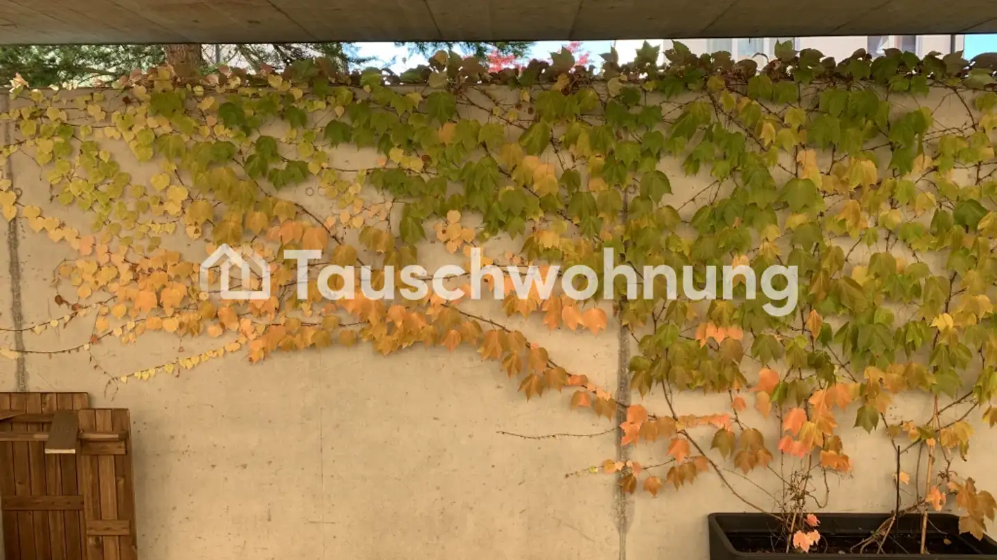 Apartment for rent - 8050 Zürich - Photo 4