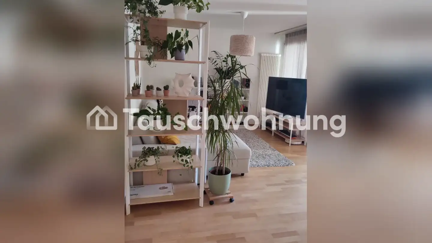 Apartment for rent - 8820 Wädenswil - Photo 2