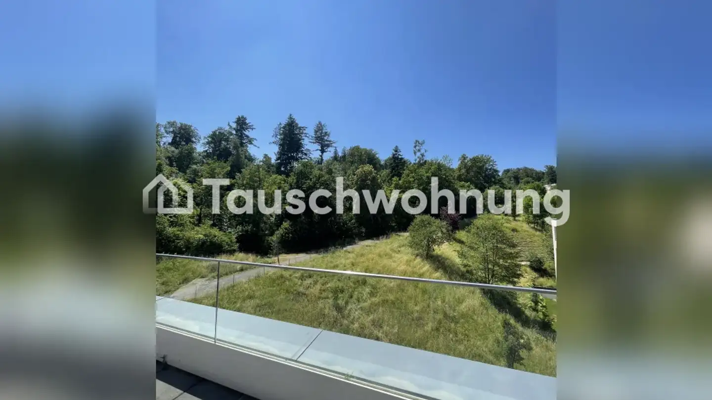 Wohnung mieten - 8820 Wädenswil - Foto 3