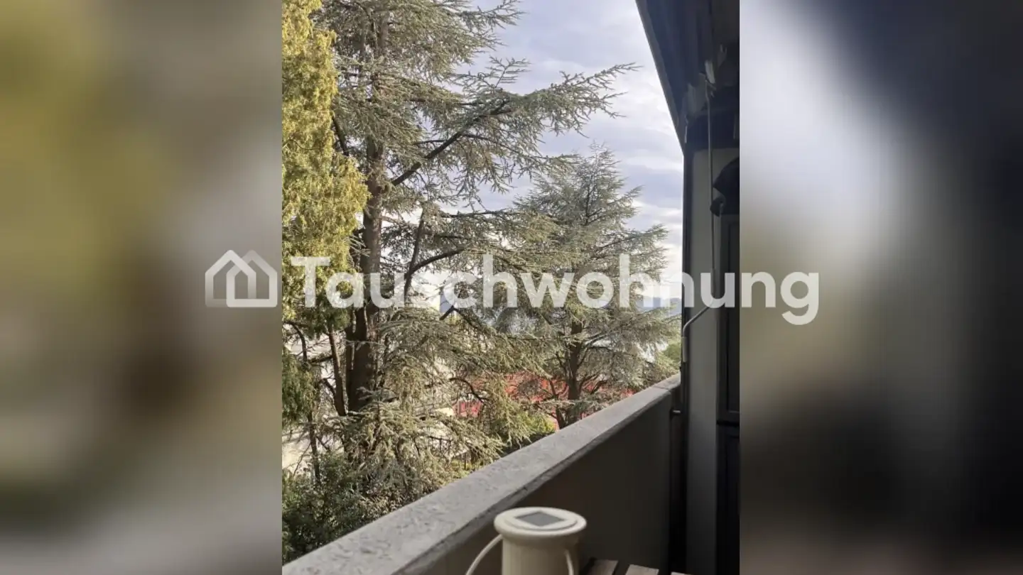 Attique à louer - Seefeldstrasse 255, 8008 Zürich - Photo 4