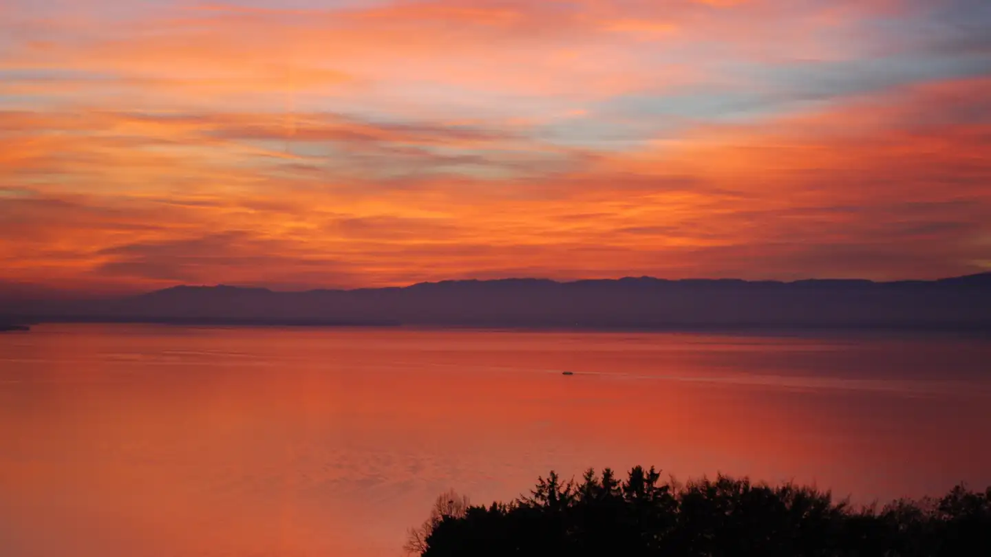 Villa for sale - 1003 Lausanne - Photo 2