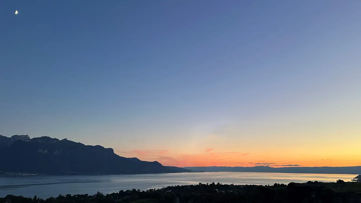 Villa à vendre - Route De Saint Légier, 1807 Blonay
