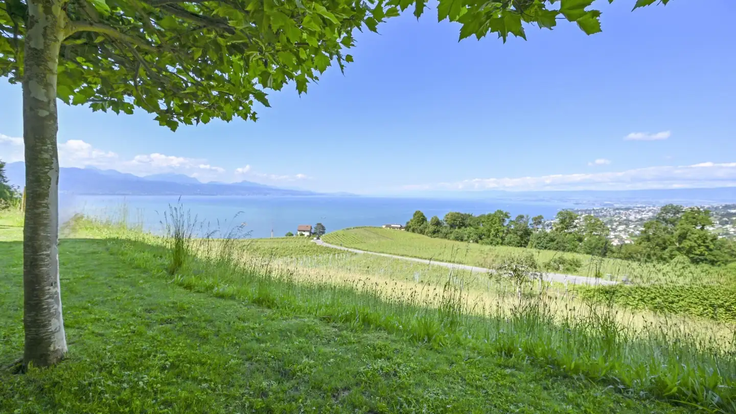 Villa kaufen - 1003 Lausanne - Foto 4