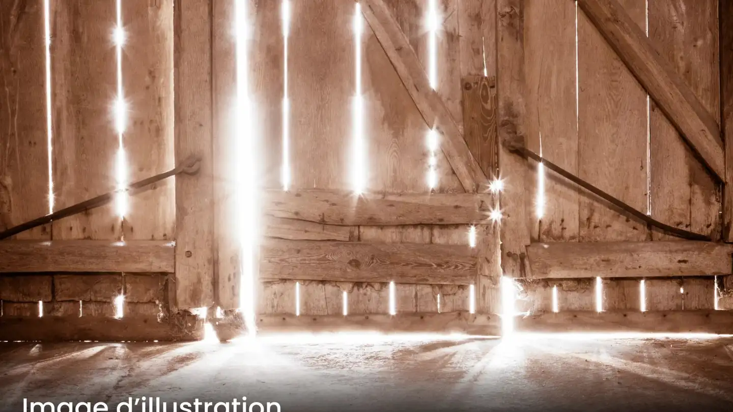 Maison individuelle à vendre - 1945 Liddes