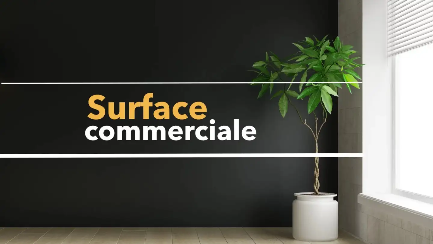 Magasin à louer - 3960 Sierre