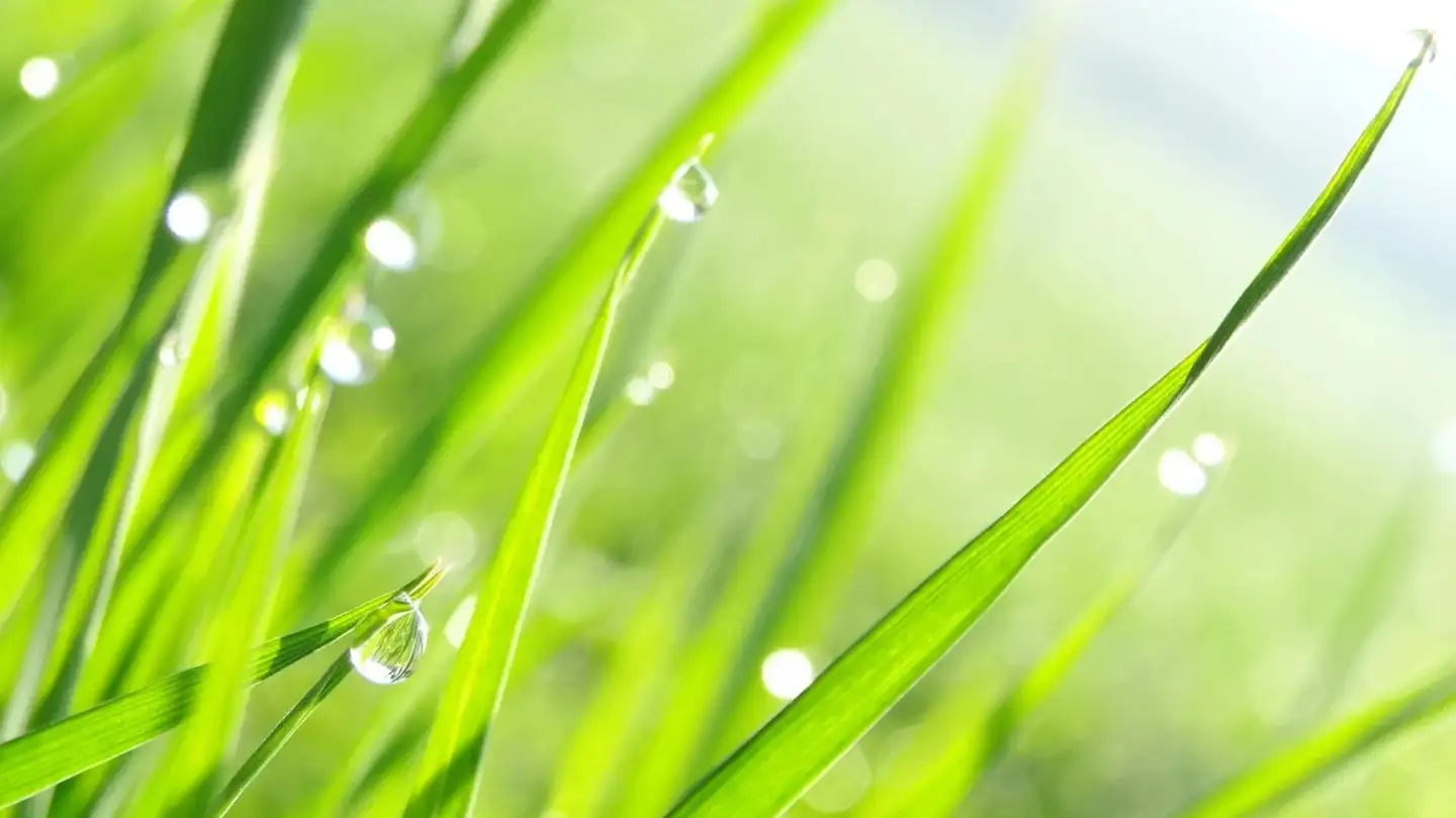 Constructible plot for sale - 3973 Venthône - Photo 2