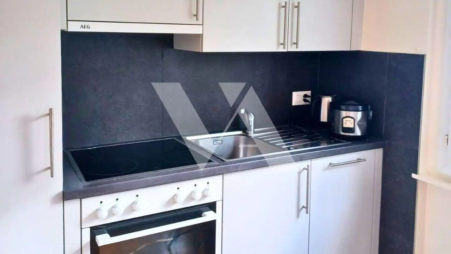 Studio for rent - Route De Saint-Cergue 50, 1260 Nyon - Photo 4