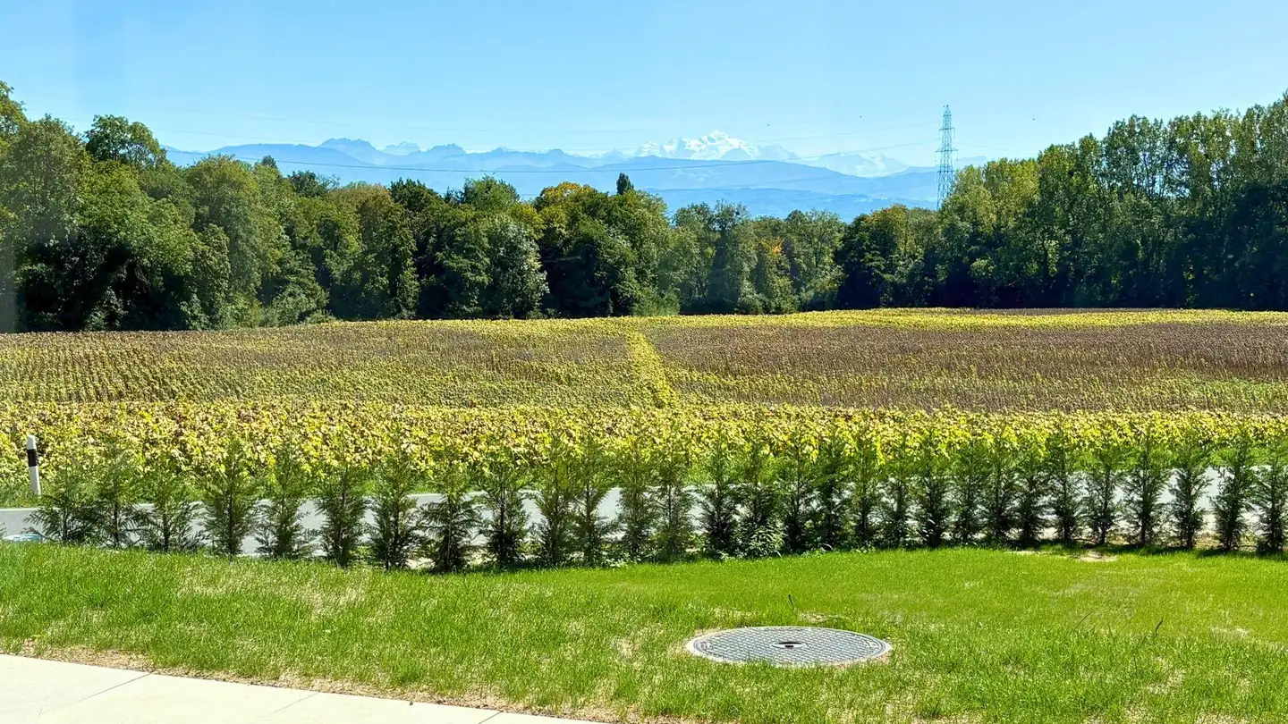 Villa mieten - Chemin de Cordex 2, 1272 Genolier - Foto 3