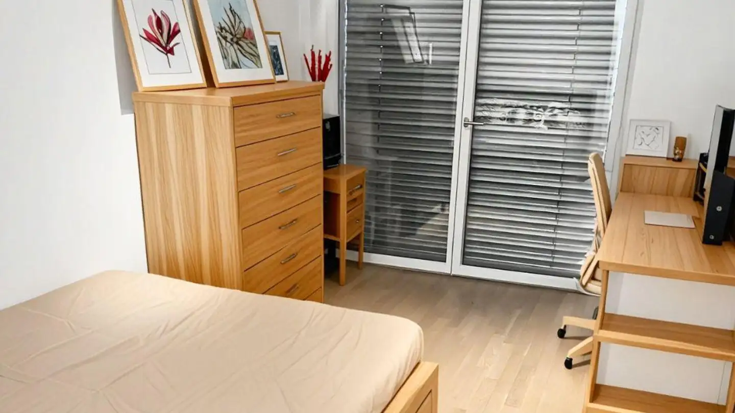 Appartamento in affitto - Rue Du Ronzier 1, 1260 Nyon - Foto 4