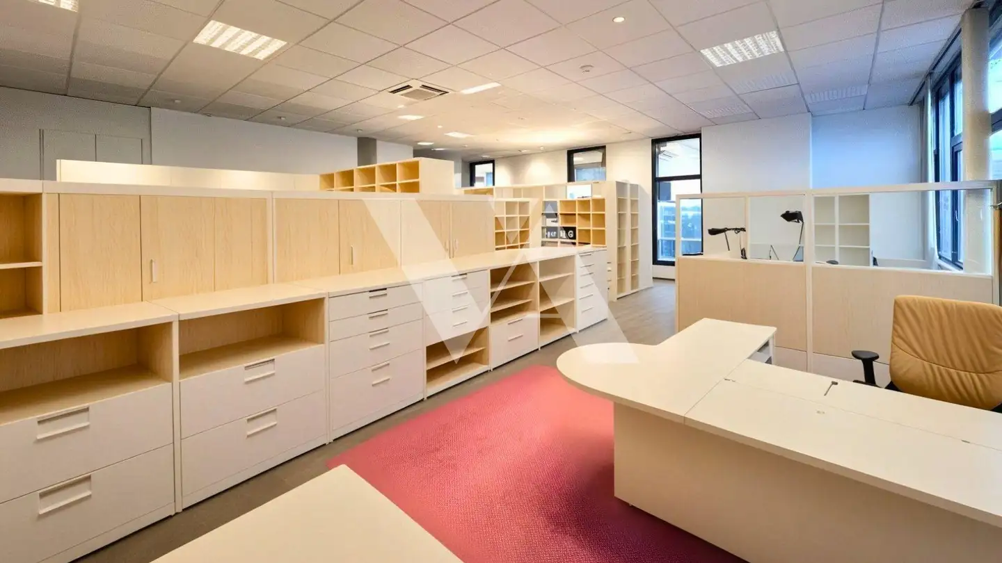 Office space for rent - Route De Saint-Cergue 297, 1260 Nyon - Photo 2
