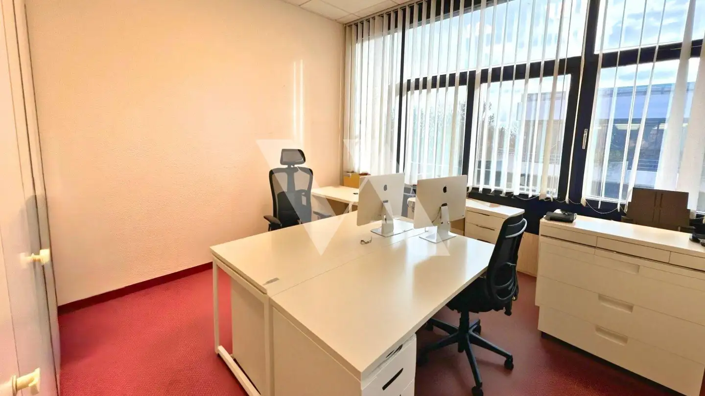 Office space for rent - Route De Saint-Cergue 297, 1260 Nyon - Photo 4