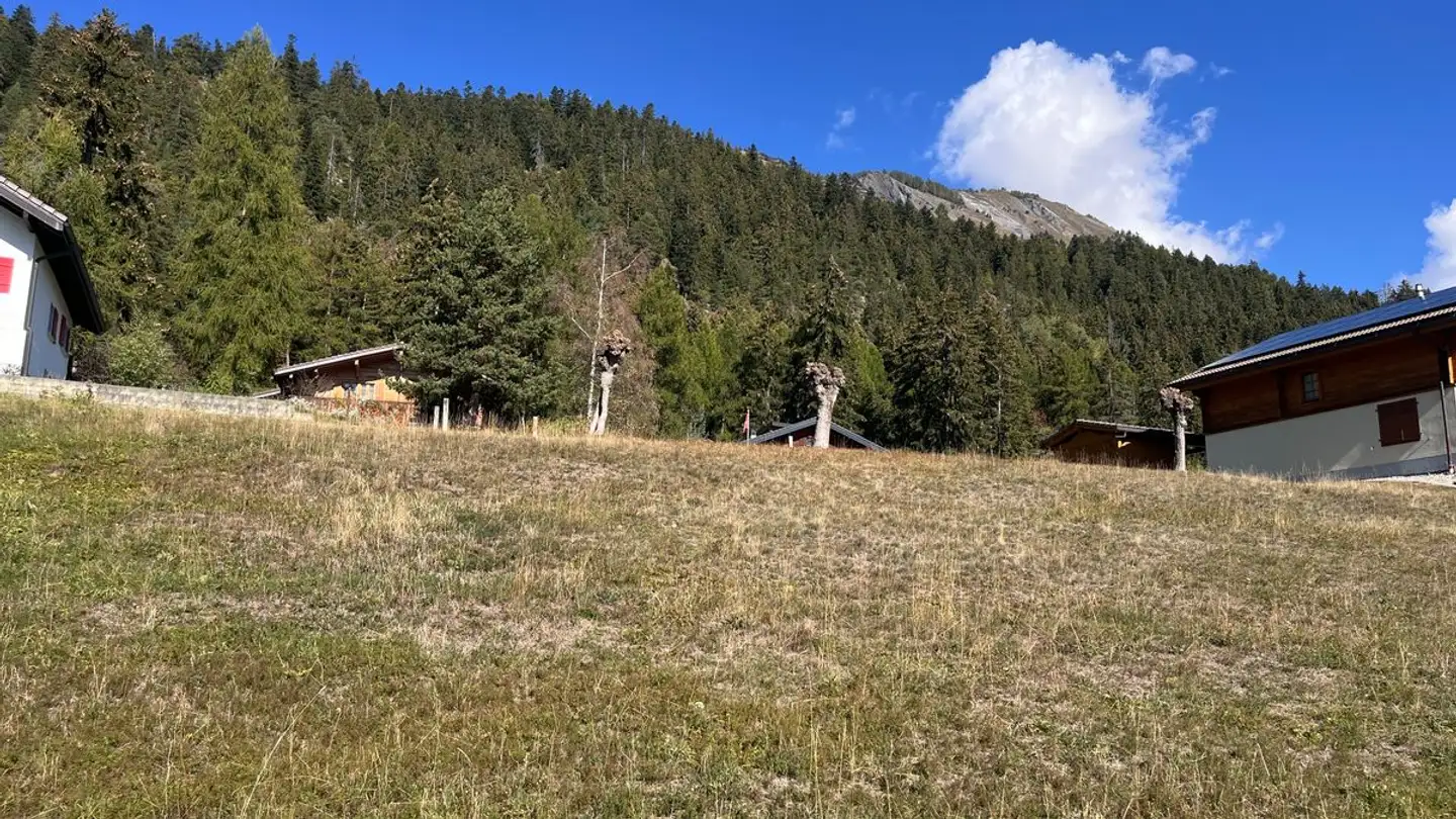 Constructible plot for sale - 1965 Savièse - Photo 3
