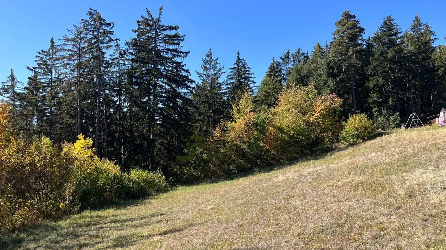Constructible plot for sale - 1965 Savièse - Photo 4