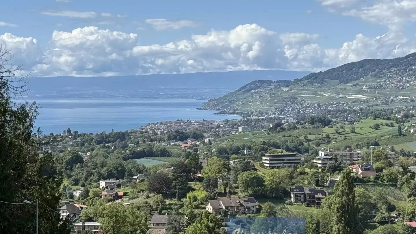 Villa in vendita - 1822 Chernex - Photo 4