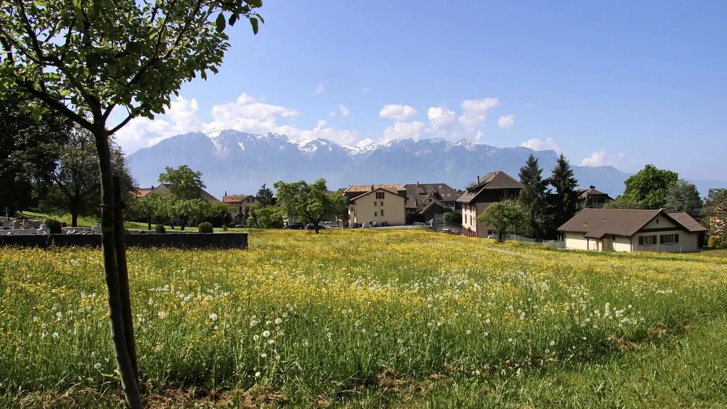Single house for sale - Route De Saint Légier, 1807 Blonay