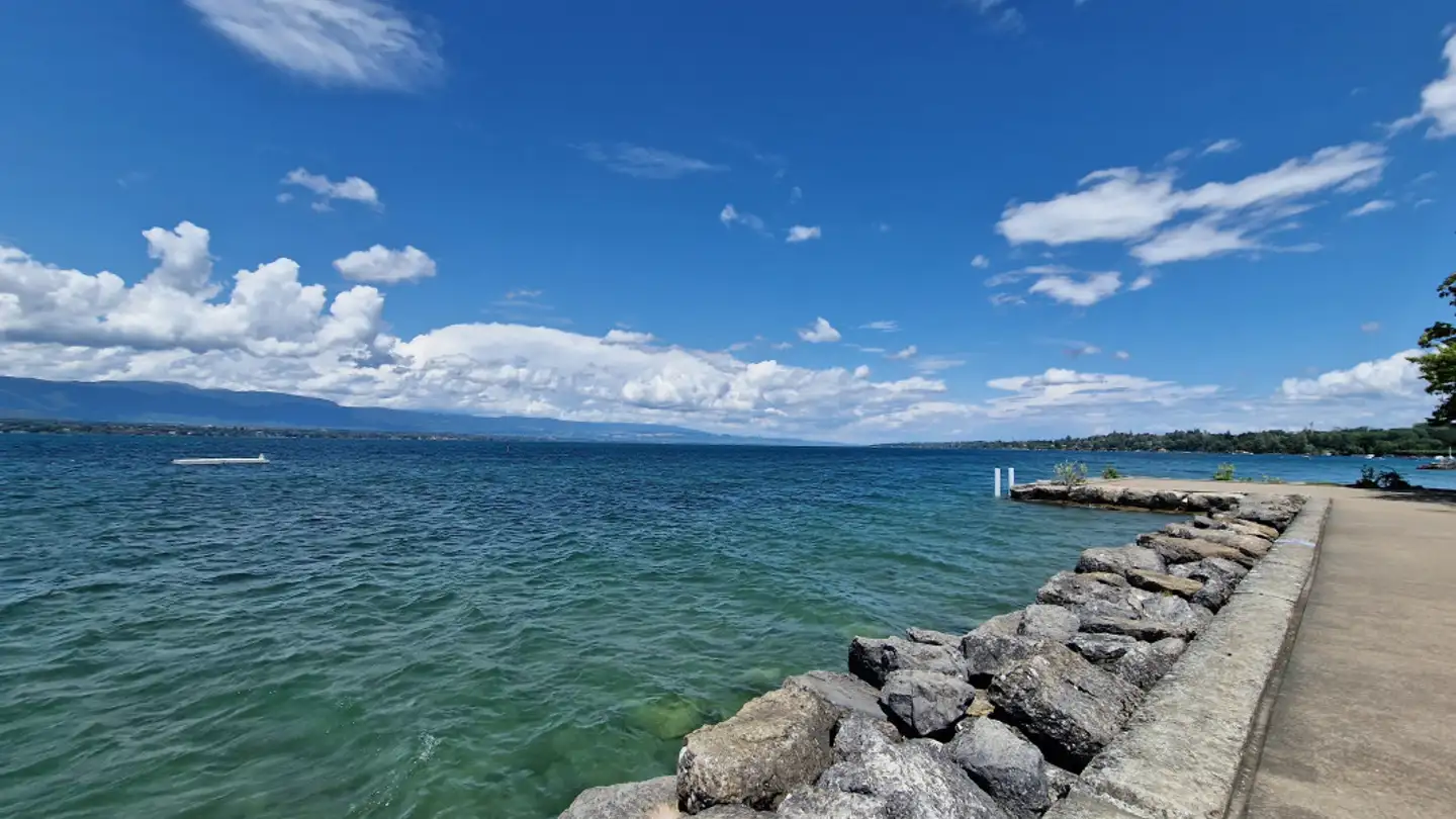 Villa for sale - 1245 Collonge-Bellerive - Photo 3