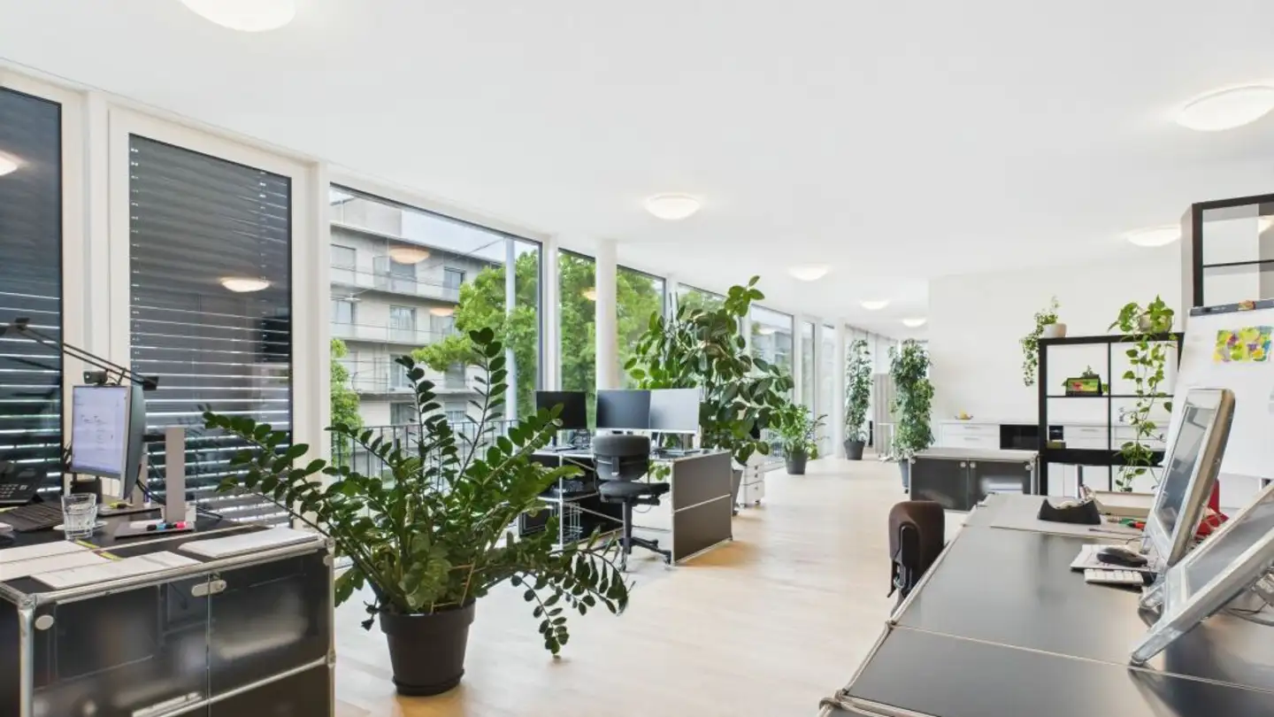 Spazio ufficio in affitto - Burgfelderstrasse 209, 4055 Basel - Photo 2