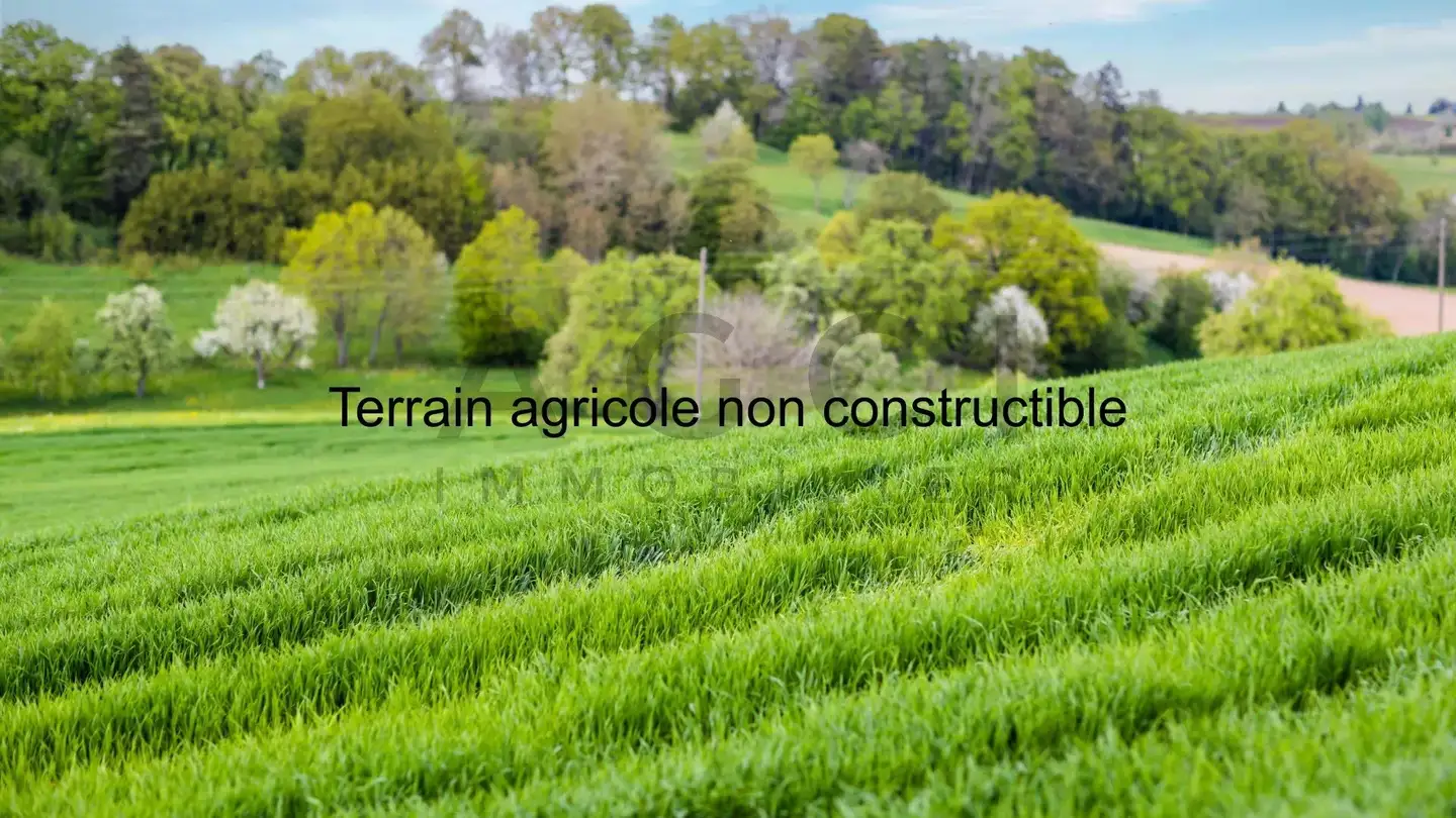 Constructible plot for sale - 1233 Bernex