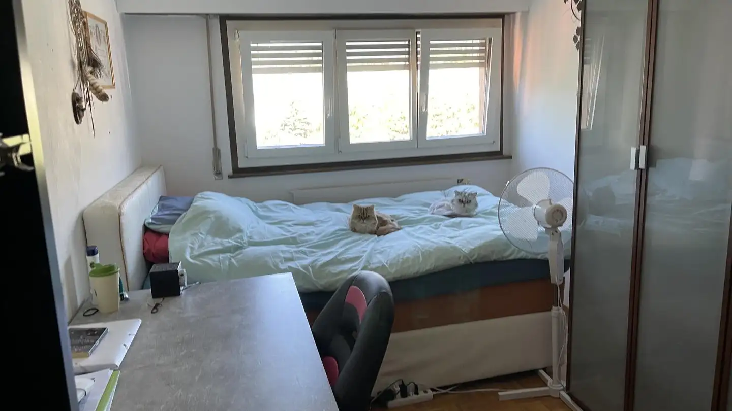 Wohnung kaufen - 1950 Sion - Foto 2