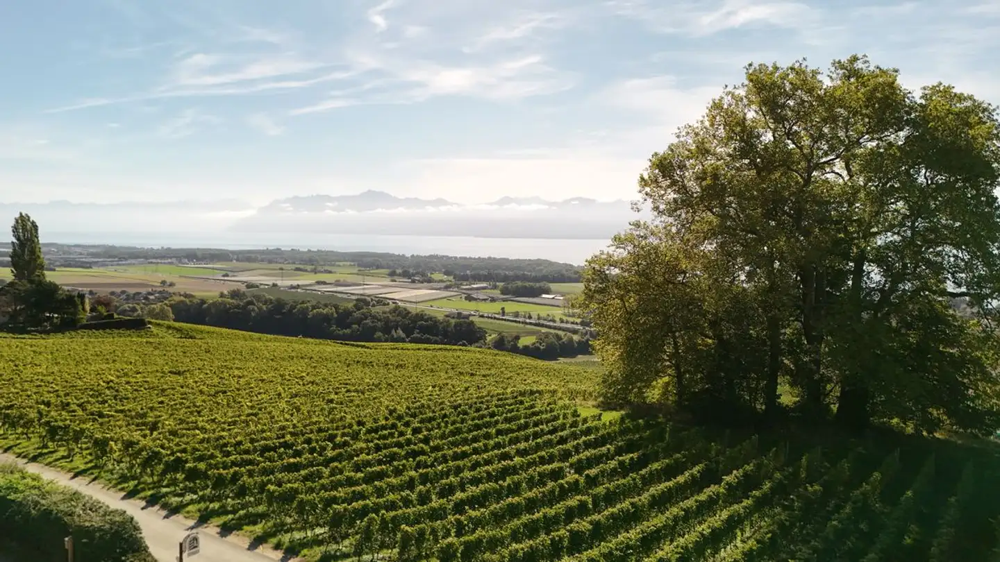 Single house for sale - 1172 Bougy-Villars - Photo 2