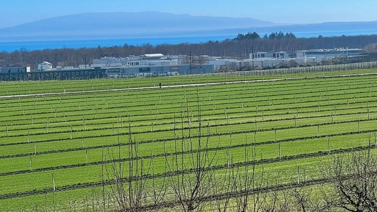 Duplex for sale - 1163 Etoy - Photo 2