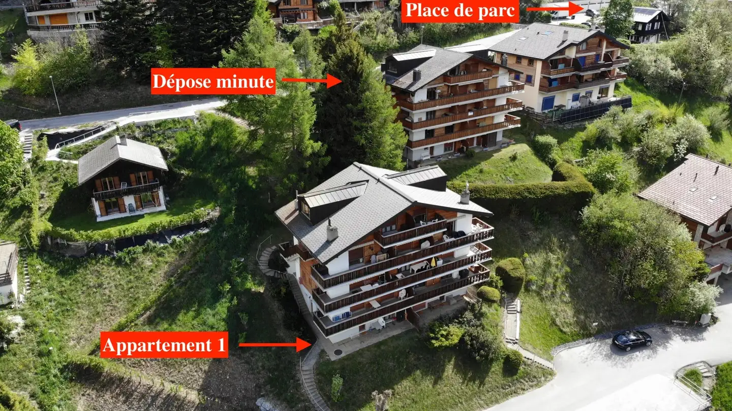 Appartement à vendre - Chemin Des Biolles 30, 1911 Ovronnaz