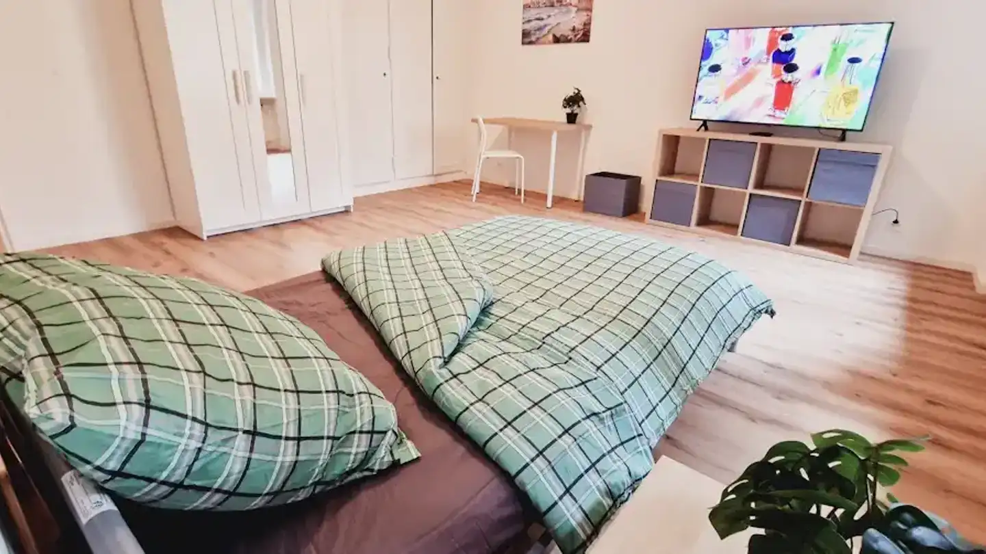 Furnished apartment for rent - Langgasse 54, 8400 Winterthur