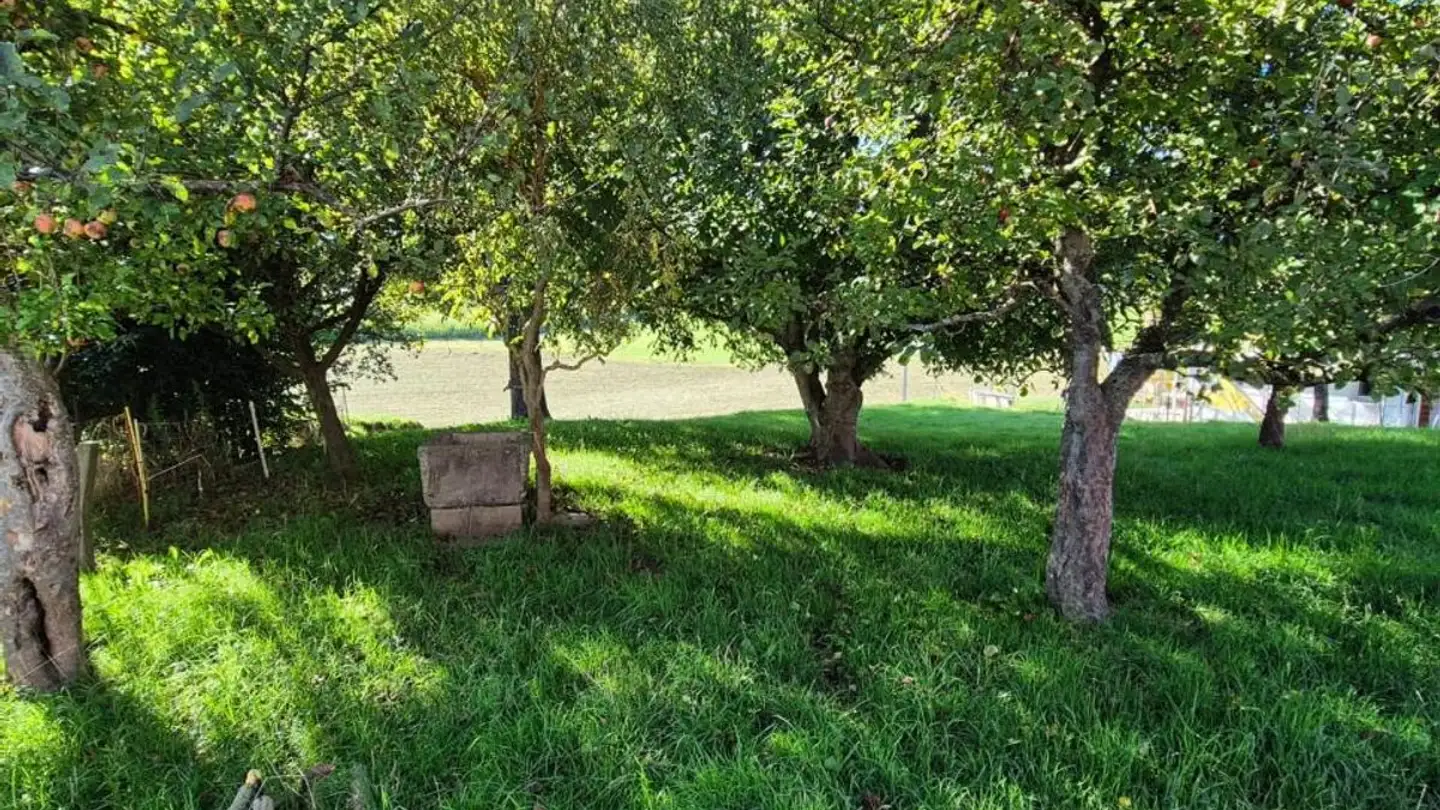 Edificio residenziale in vendita - 1627 Vaulruz - Photo 3