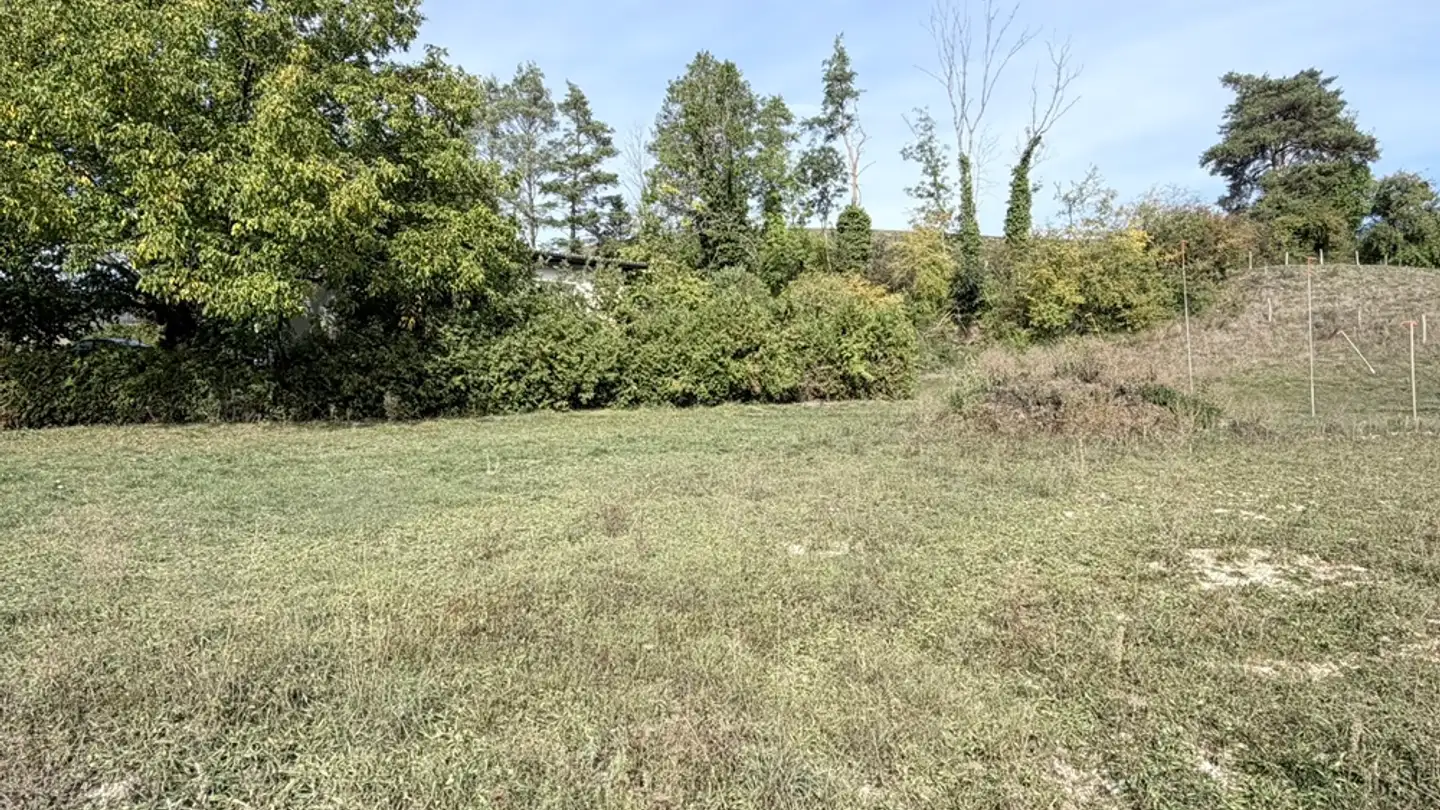Terrain constructible à vendre - 2824 Vicques