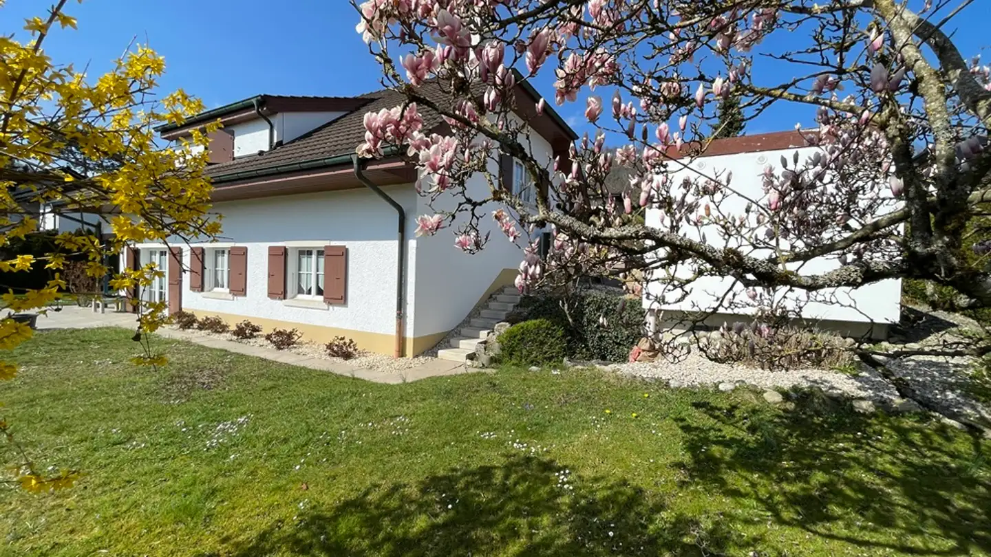 Einfamilienhaus kaufen - 2800 Delémont - Foto 3