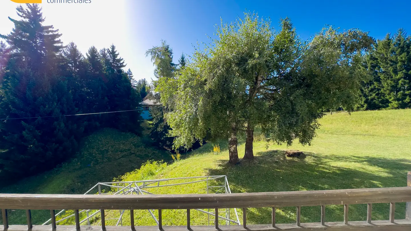 Chalet for sale - 1964 Conthey - Photo 3